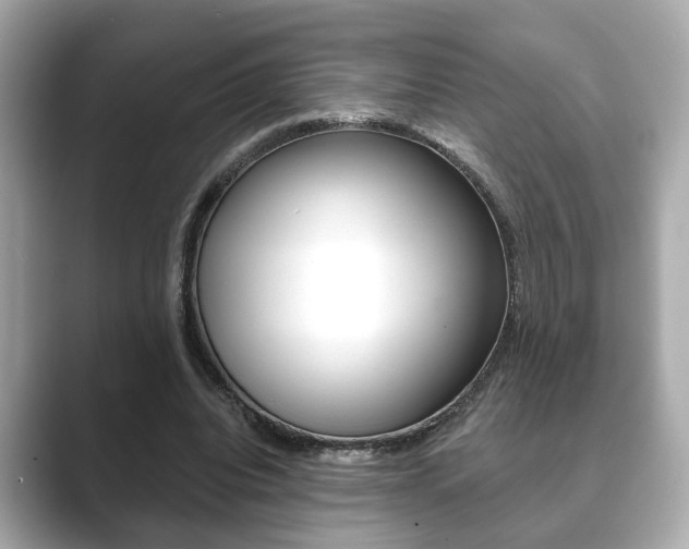 X0000089740440200706210907