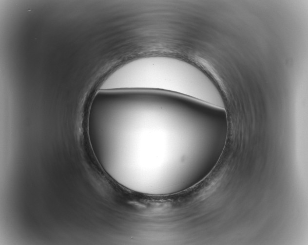 X0000089740443200706210907