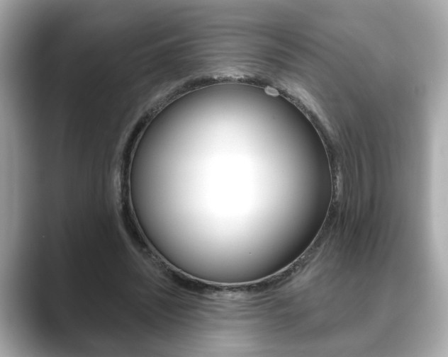 X0000089740444200706210907
