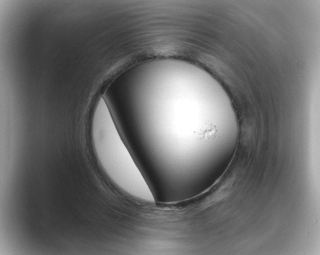 X0000089740446200706210907