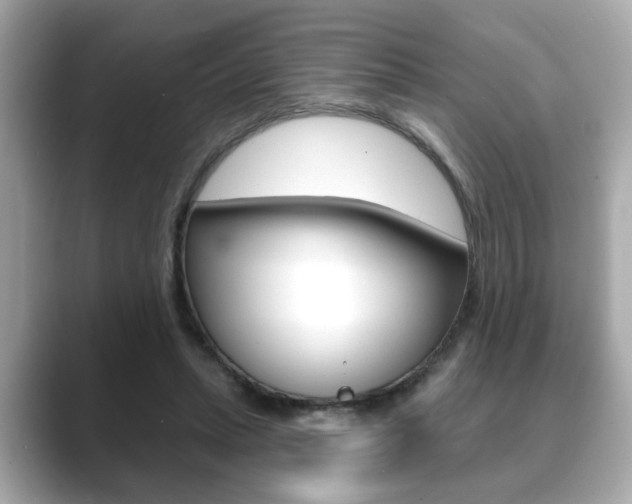 X0000089740447200706210907