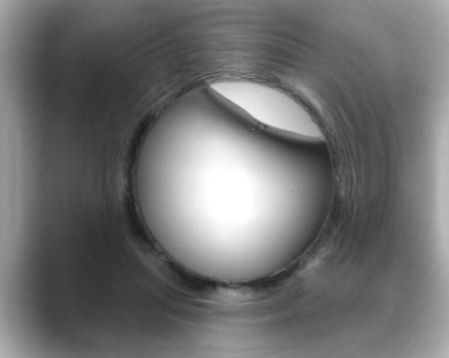 X0000089740455200706210907