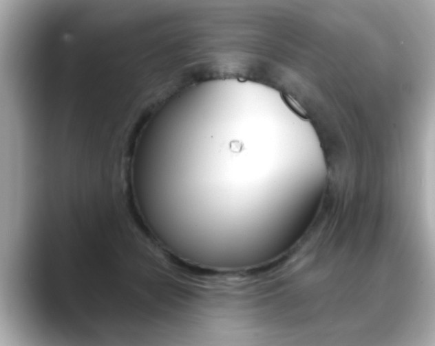 X0000089740462200706210907