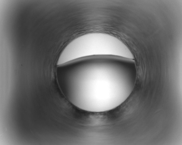 X0000089740470200706210907