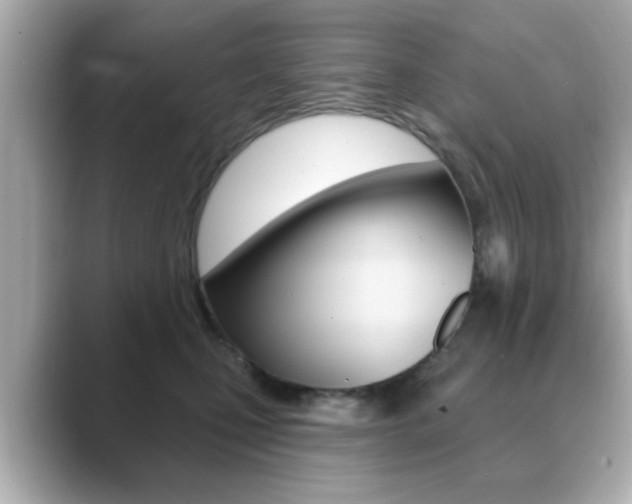 X0000089740471200706210907