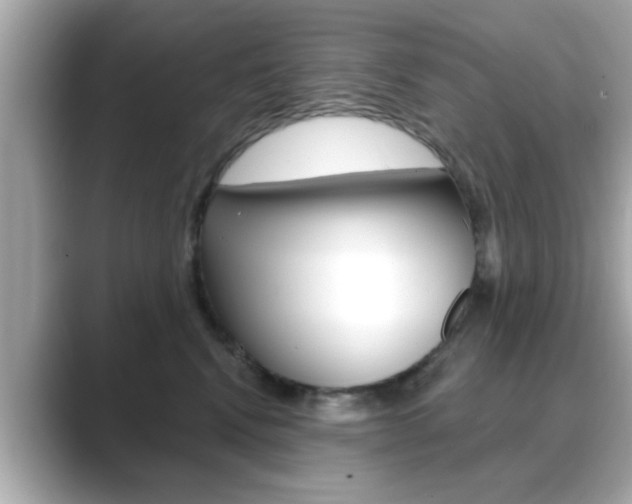 X0000089740472200706210907