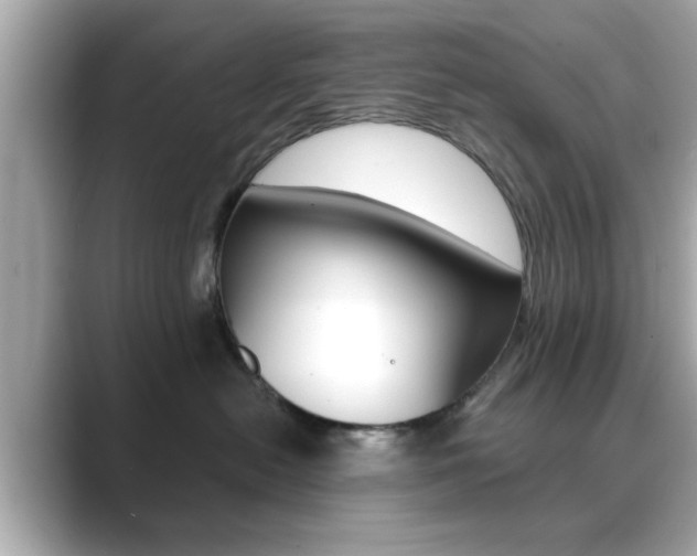 X0000089740478200706210907