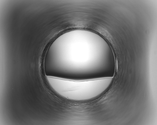 X0000089740483200706210907