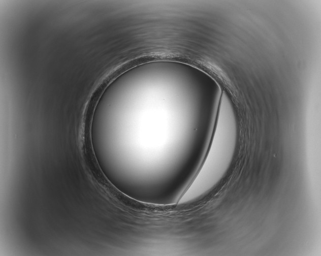 X0000089740484200706210907