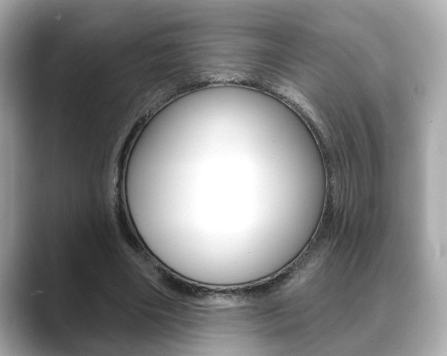 X0000089740490200706210907