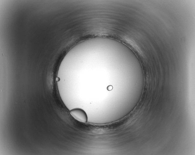 X0000089740494200706210907