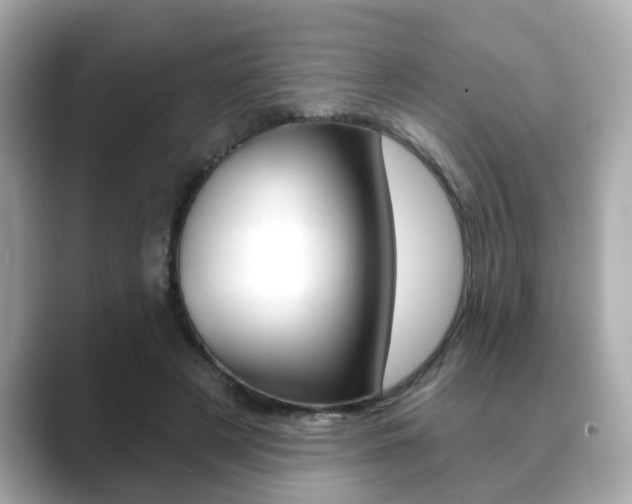 X0000089740497200706210907