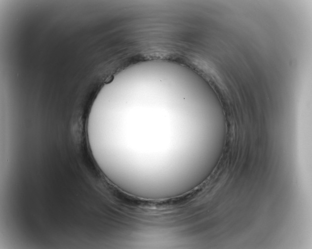X0000089740498200706210907