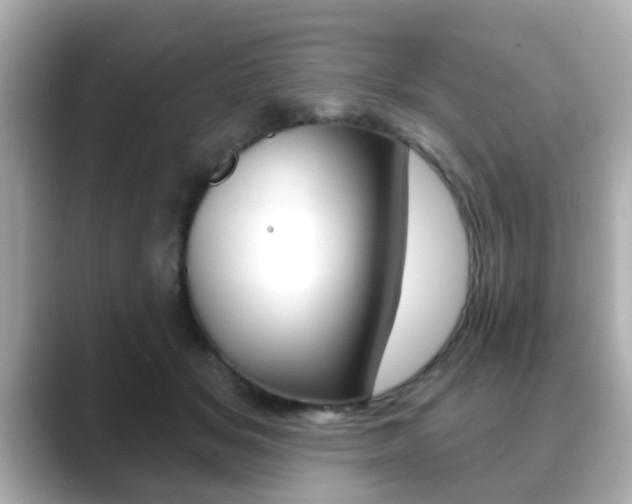 X0000089740509200706210906