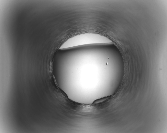 X0000089740528200706210906
