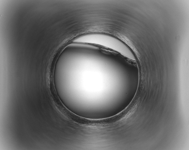 X0000089740530200706210906