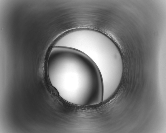X0000089740532200706210906