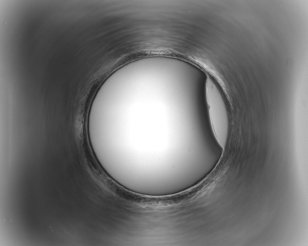 X0000089740533200706210906