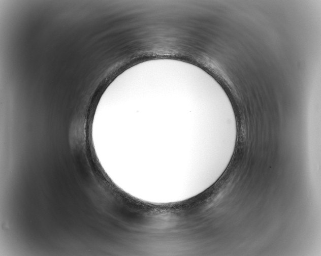 X0000089740534200706210906