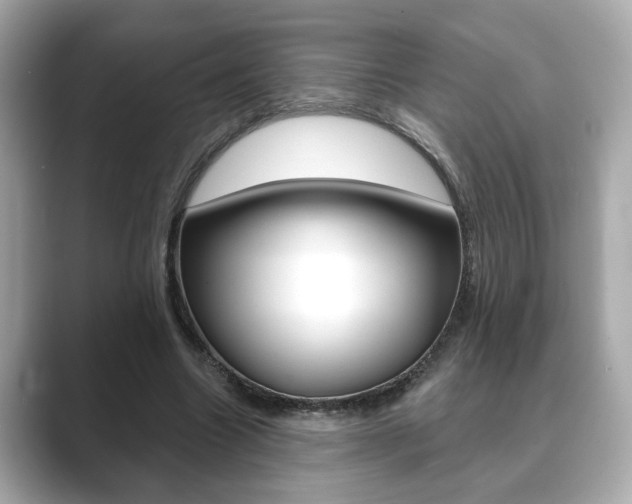 X0000089740538200706210906