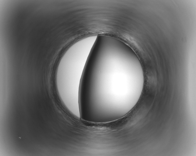 X0000089740539200706210906