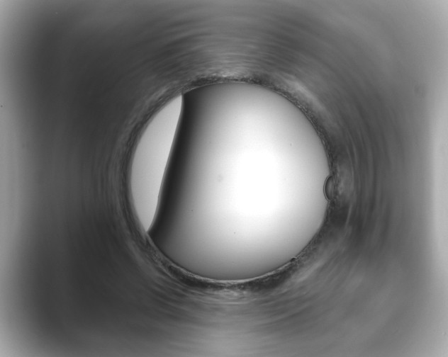 X0000089740542200706210906