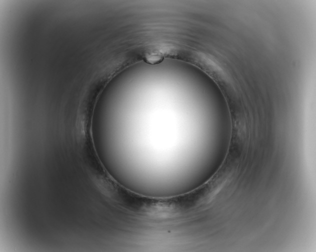 X0000089740546200706210906