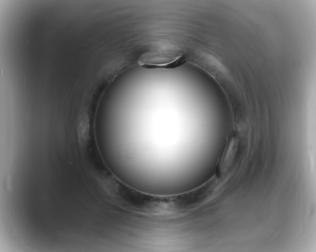 X0000089740552200706210906