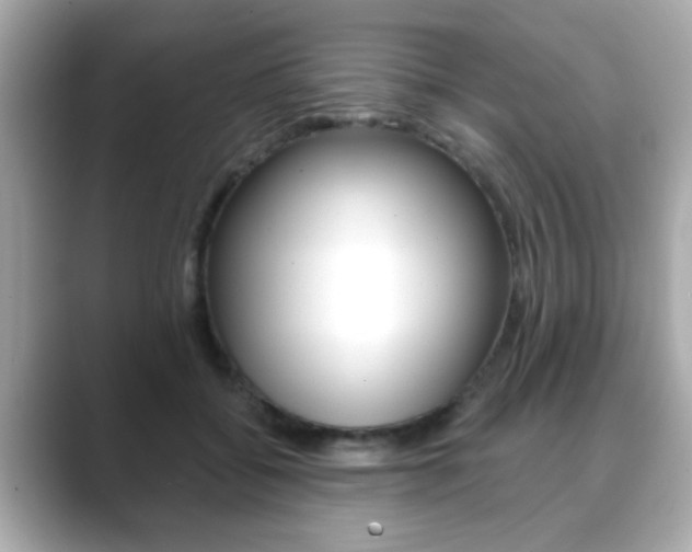 X0000089740556200706210906