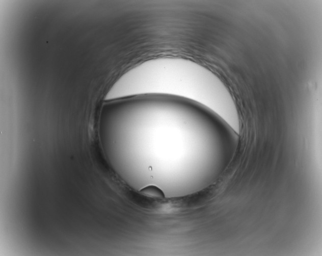 X0000089740564200706210906