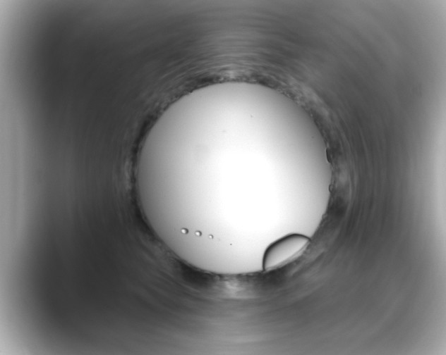 X0000089740565200706210906