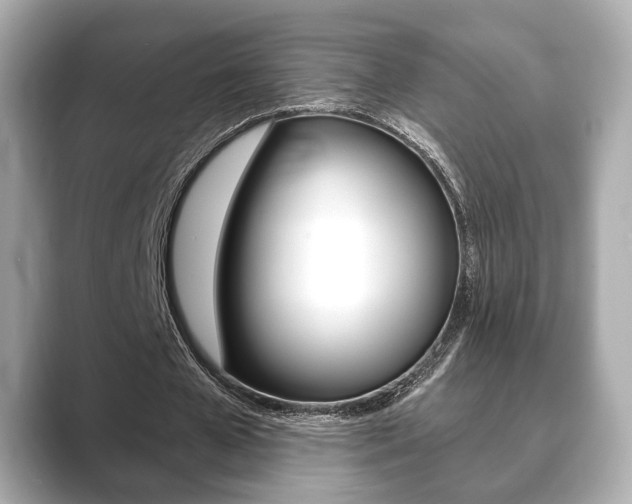 X0000089740577200706210906