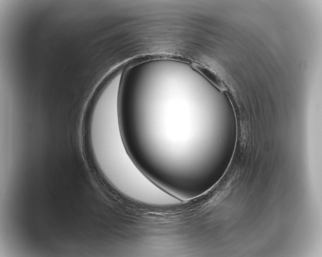 X0000089740580200706210906