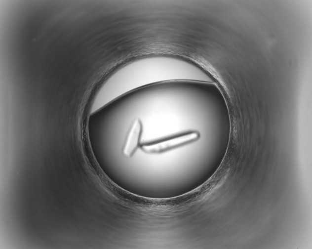X0000089740581200706210905