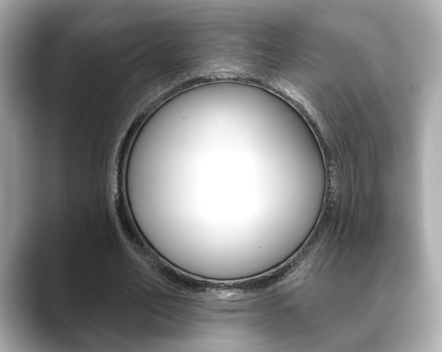 X0000089740582200706210905