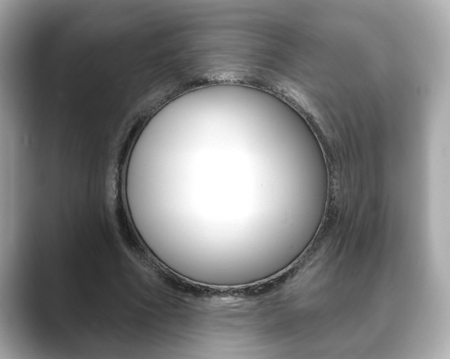 X0000089740586200706210905