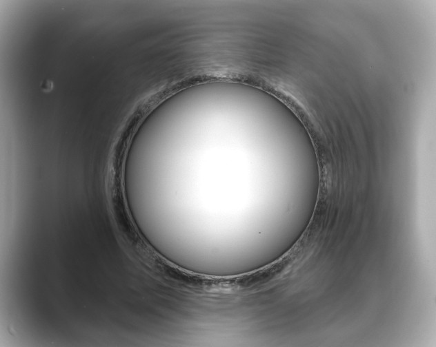 X0000089740587200706210905