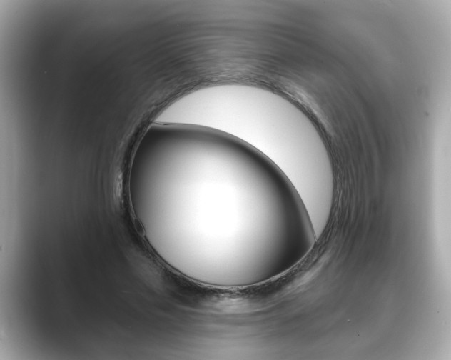 X0000089740589200706210905