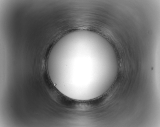 X0000089740598200706210905
