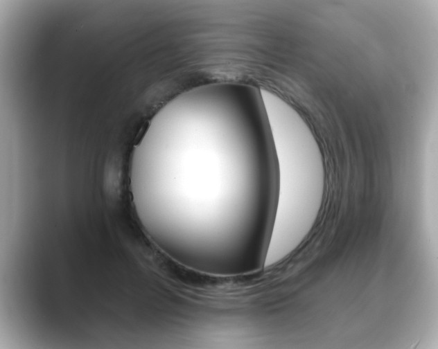 X0000089740600200706210905
