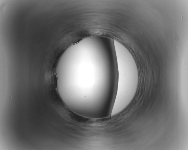 X0000089740601200706210905