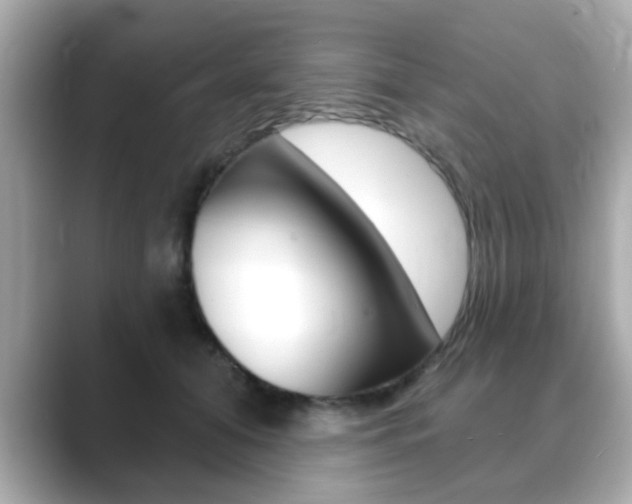 X0000089740608200706210905