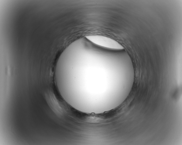 X0000089740614200706210905