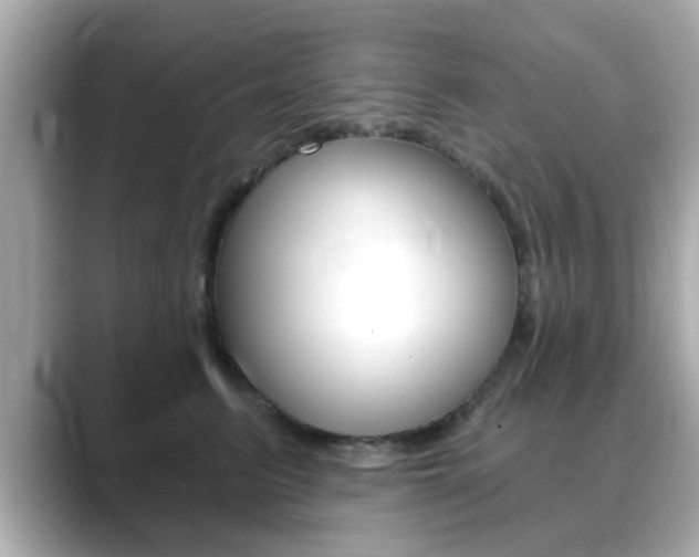 X0000089740615200706210905
