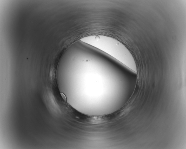X0000089740623200706210905
