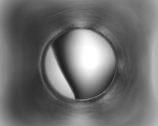 X0000089740630200706210904