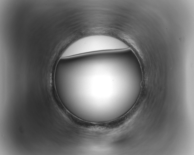 X0000089740633200706210904