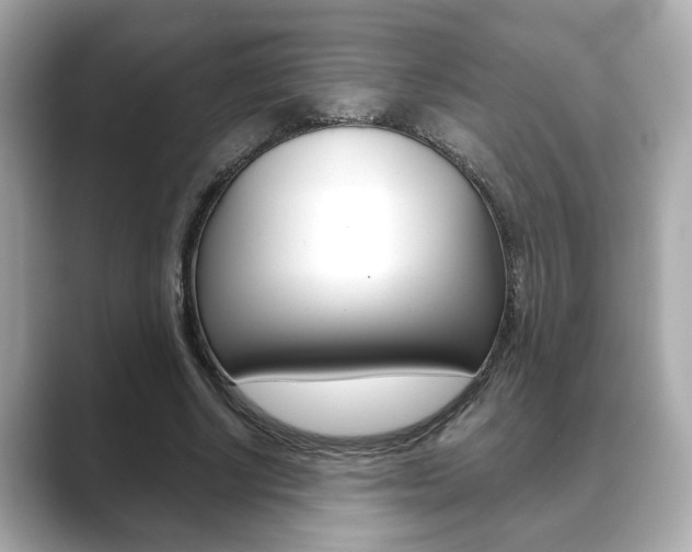 X0000089740634200706210904