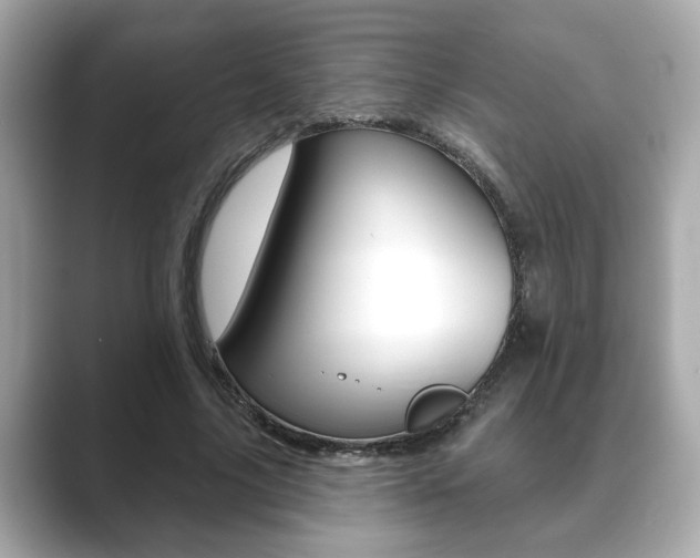 X0000089740635200706210904