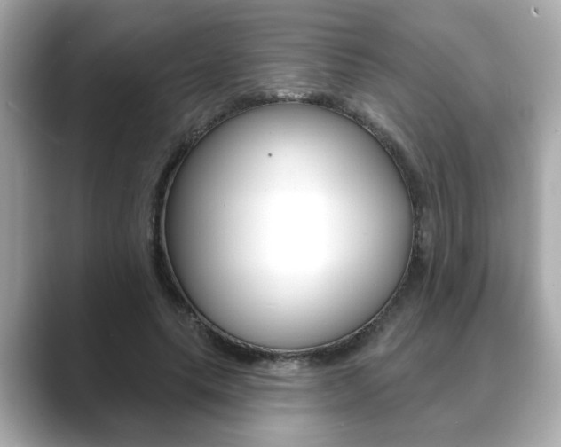 X0000089740639200706210904